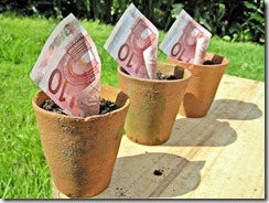 euros-dans-des-pots